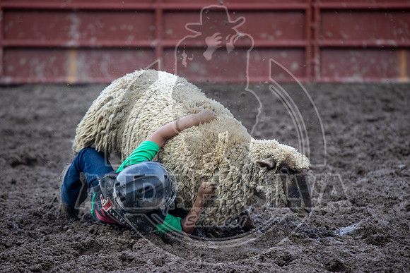2024 Eagle_Mutton busting_2445-AndreSilva