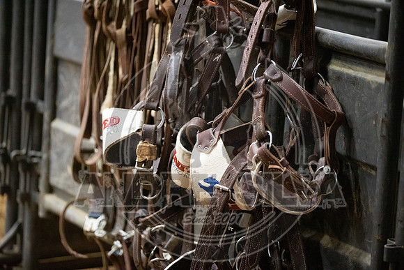 06_08_19_Mesquite_002_Silva