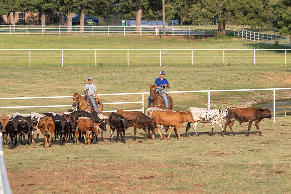 08_05_19_Vieira_Ranch_018_Silva