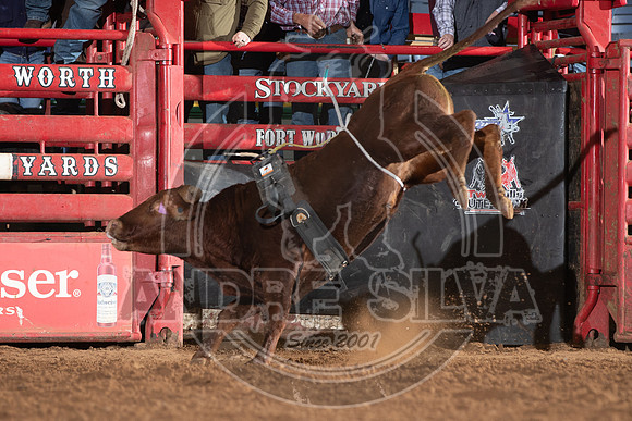 2021_Jan_01_ABBI_161