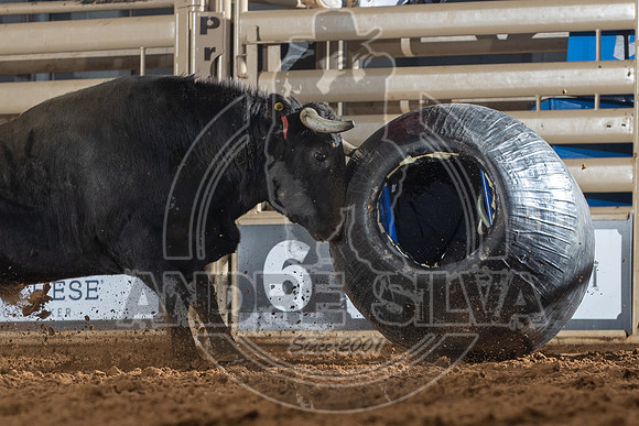 23_Nov_26_UBF_054