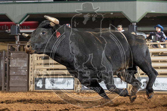 23_Nov_26_UBF_140