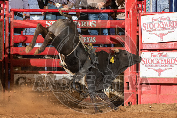 2021_Jan_02_ABBI_415