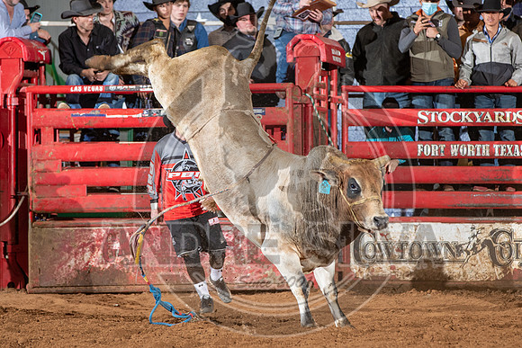 2021_Jan_02_ABBI_546