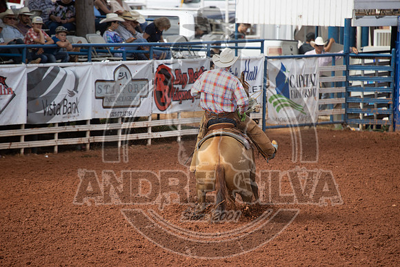2024_July_06_Ranch_Horse_Competition_3744