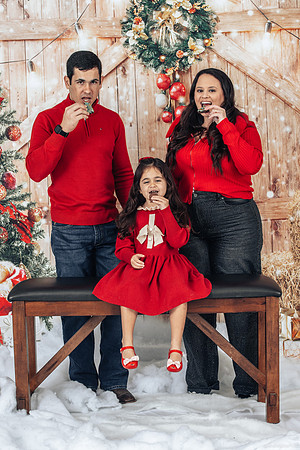 23_Dec_05_Christmas_0247