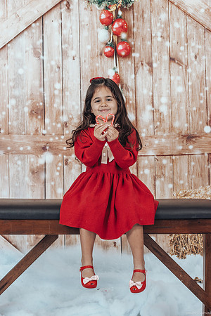 23_Dec_05_Christmas_0253