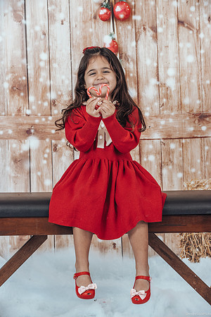 23_Dec_05_Christmas_0257