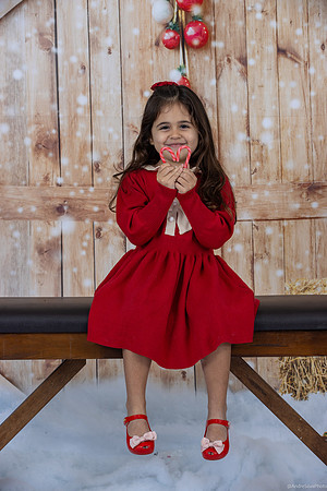 23_Dec_05_Christmas_0264