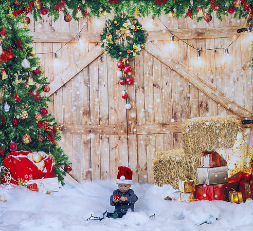 23_Dec_05_Christmas_0118