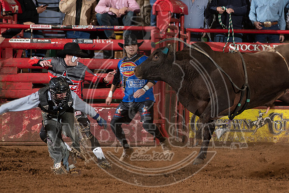 2021_Jan_02_ABBI_376