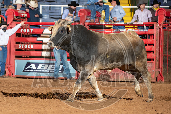 2021_Jan_01_ABBI_140