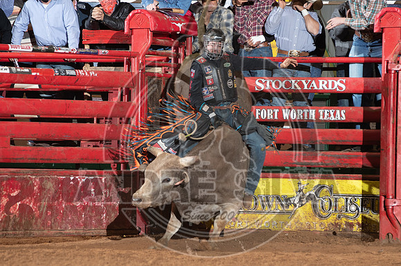 2021_Jan_01_ABBI_091