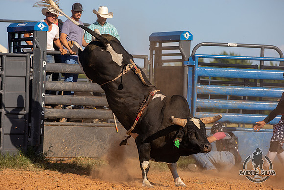 2021_Aug_11_Silvano_Alves_102