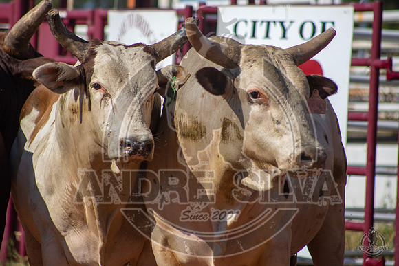 2020_Aug_08_Bridgeport_TX_010