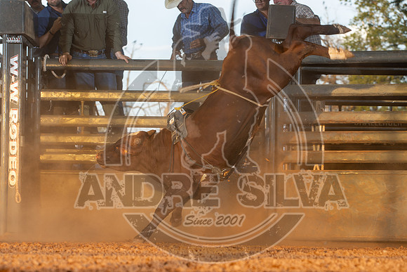 2024_Aug_21_Erick_OK_228