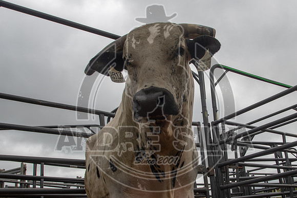 CASSVIILLE_05_11_2019_007