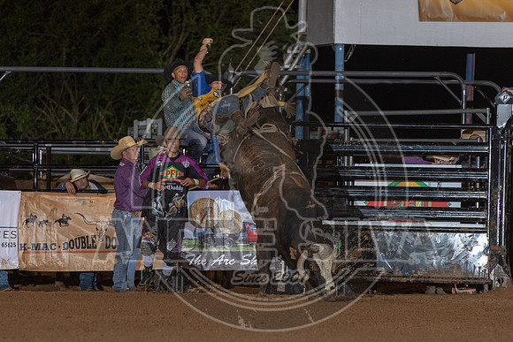 CASSVIILLE_05_11_2019_190