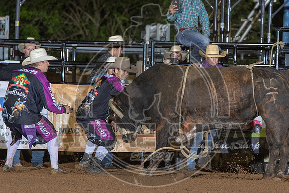 CASSVIILLE_05_11_2019_191