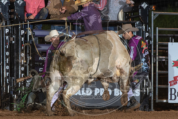 CASSVIILLE_05_11_2019_200