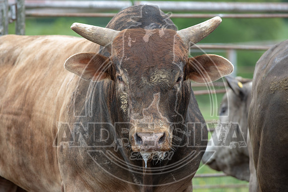 CASSVIILLE_05_11_2019_245