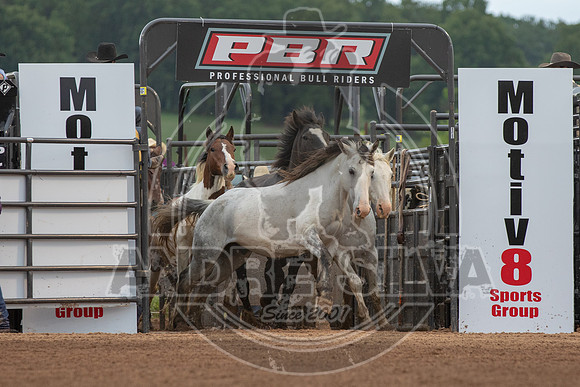 CASSVIILLE_05_11_2019_294