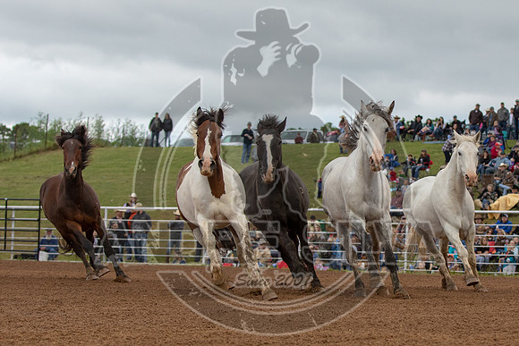 CASSVIILLE_05_11_2019_297