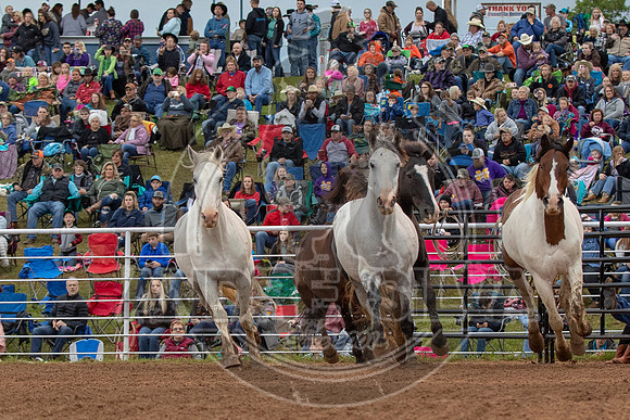 CASSVIILLE_05_11_2019_300