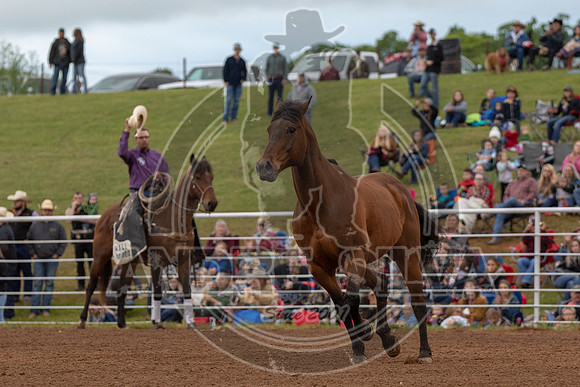 CASSVIILLE_05_11_2019_308