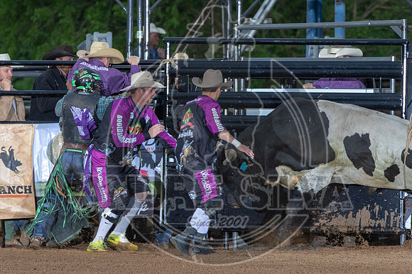 CASSVIILLE_05_11_2019_335