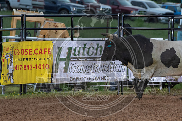 CASSVIILLE_05_11_2019_336