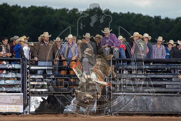 CASSVIILLE_05_11_2019_355