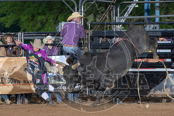 CASSVIILLE_05_11_2019_364