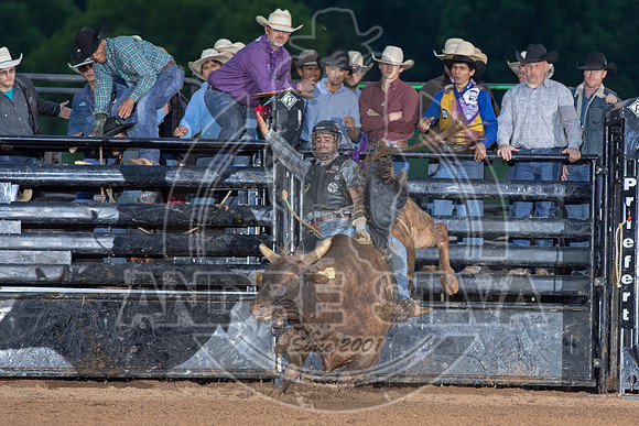 CASSVIILLE_05_11_2019_371