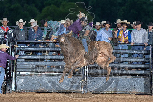 CASSVIILLE_05_11_2019_373