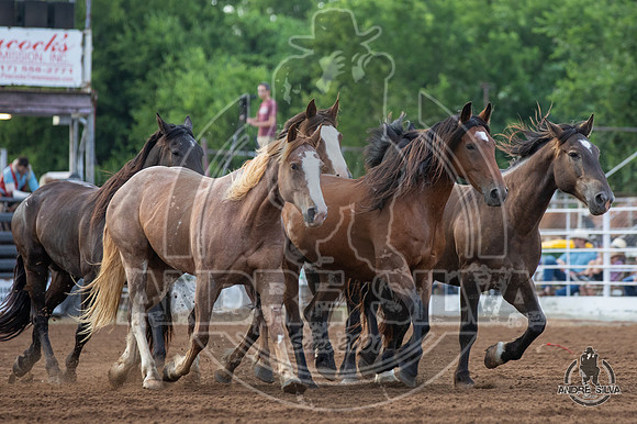 06_12_19_Cleburne_006_Silva