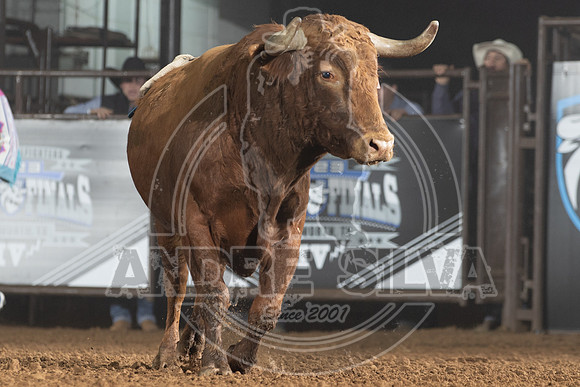23_Dec_14_UBF_025