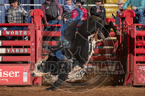 2021_Jan_01_ABBI_241