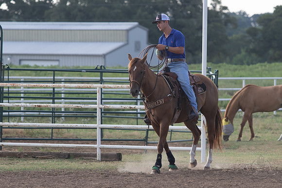 08_05_19_Vieira_Ranch_008_Silva