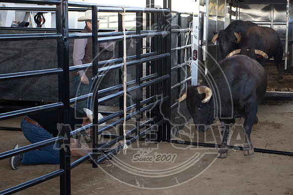 2022_April_15_UBF_455