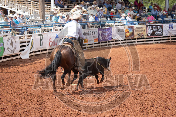 2024_July_06_Ranch_Horse_Competition_3796