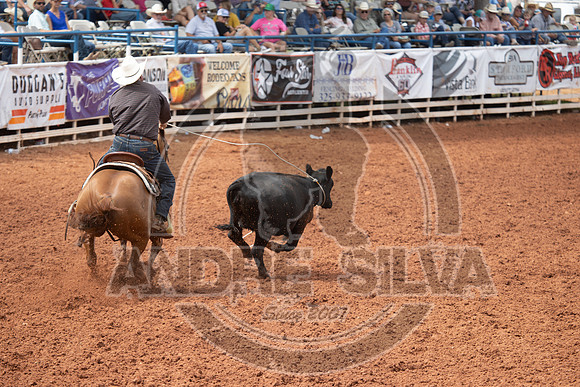 2024_July_06_Ranch_Horse_Competition_3840
