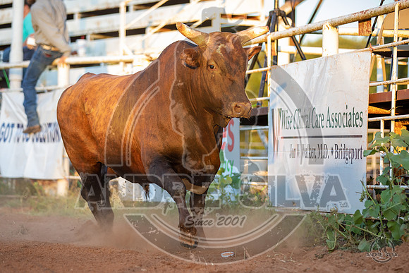 2020_Aug_08_Bridgeport_TX_049