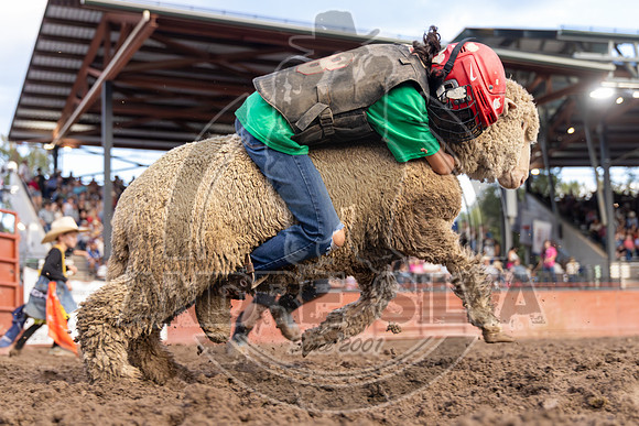 2024 Eagle_Mutton Busting__2589-AndreSilva
