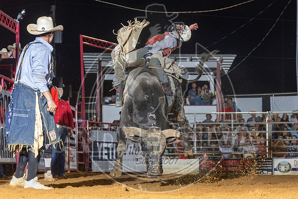 2025_CowtownRodeo_Pilesgrove_NJ_BR__AS_303