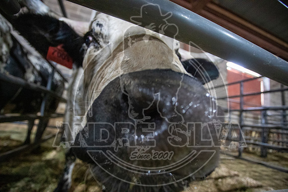 2021_Jan_01_ABBI_010