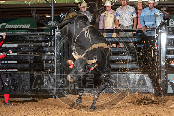 2020_Aug_29_ABBI_073