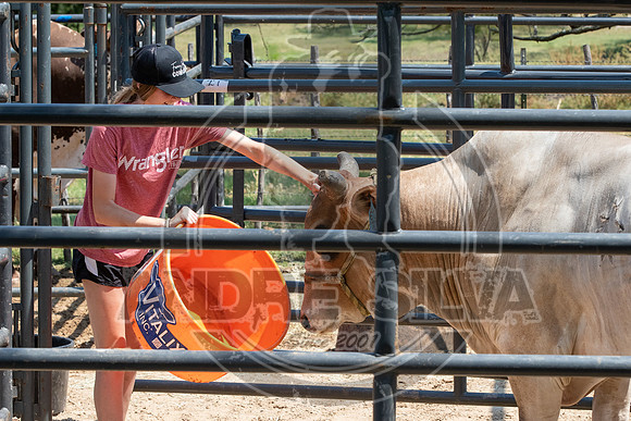 2020_Aug_29_ABBI_003