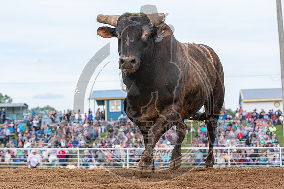 2021_May_08_PBR_Cassvile_TX_393