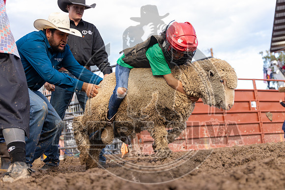 2024 Eagle_Mutton Busting__2586-AndreSilva